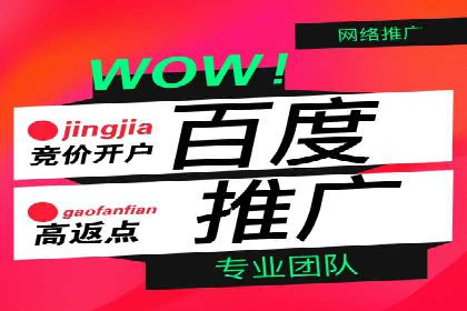 专业SEM托管，案例分享助力企业实现高效转化